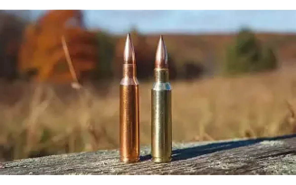 .308 Win vs .350 Legend: Which Caliber Rules the Hunting Field?