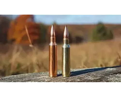 .308 Winchester vs .350 Legend — The Ultimate Caliber Showdown for Hunters and AR Builders