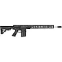 AR-10 & Precision