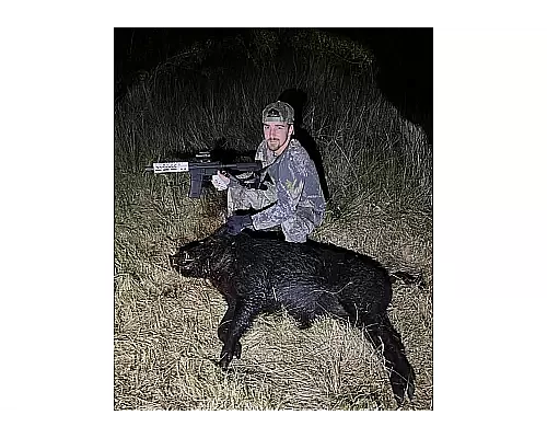 Best AR-15 Calibers for Hunting in 2025 | Top Picks for Every Game