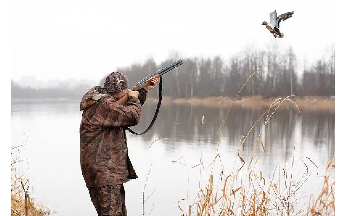 The Ultimate Guide to .338 ARC: Ballistics, Barrel Lengths & Building the Perfect AR (Part 2)
