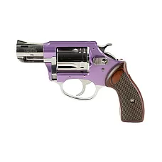 CHARTER ARMS CYTE 380ACP 2