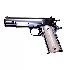COLT 1911C GOVT 45ACP 5