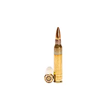 GO 556NATO M193 55GR FMJ 20/1000