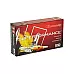 HRNDY SF 243WIN 95GR SST 20/200