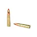 HRNDY 300BLK 135GR FTX  20/200