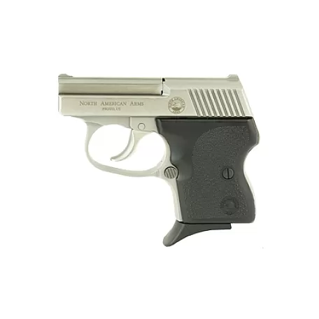 NAA GUARDIAN 32ACP 6RD STS