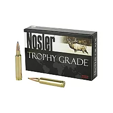 NOSLER 30NOS 210GR ABLR 20/200