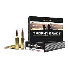 NOSLER TGA 6.5 PRC 140GR AB 20/200