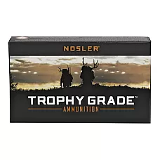 NOSLER TG 243WIN 100GR PT 20/200