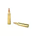 REM 22-250 55GR PSP 20/200