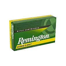 REM 300WIN 180GR PSP CL 20/200