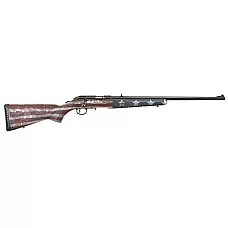 RUGER AM RIM 22WMR 22
