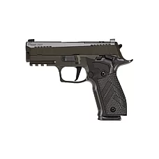 SIG P226 XLGN DA/SA 9MM 3.8 10RD GRY