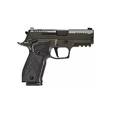SIG P226 XLGN DA/SA 9MM 3.8 10RD GRY
