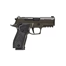 SIG P226 XLGN SAO 9MM 3.8
