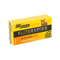 SIG AMMO 22-250REM 40GR V&P 20/200