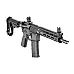 SPGFLD ST VIC PSTL 300BLK SBA3 9.6