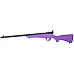 SAV RASCAL 22LR 16 1/8