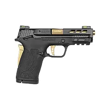 S&W PC SHIELD 380ACP EZ 8RD PRTD GLD