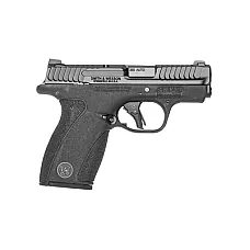 S&W BDYGRD 2.0 380ACP 2.75
