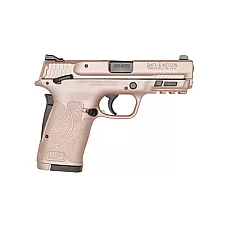 S&W SHIELD 2.0 EZ 380ACP 8RD RS GLD