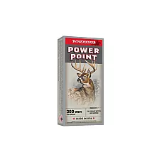 WIN SPRX PWR PNT 300WSM 180GR 20/200