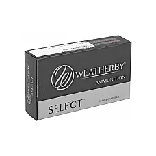 WBY AMMO 240WBY 100GR INTERLK 20/200