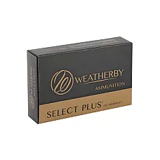 WBY AMMO 6.5-300WBY 156GR EOL 20/200