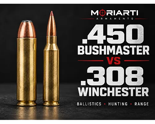 .450 Bushmaster vs .308 Winchester cartridge comparison — ballistics, hunting and effective range